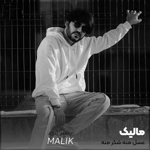 دانلود آهنگ جدید عسل منه شکر منه از مالیک در سایت فاز موزیک