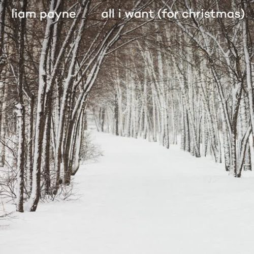 Download Music All I Want By Liam Payne دانلود آهنگ جدید All I Want از Liam Payne