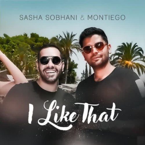 دانلود آهنگ I Like That از Montiego