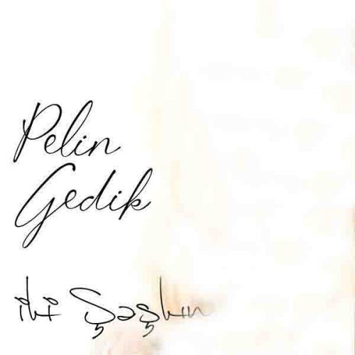 موزیک منتشر شده پلین گدیک بنام دو ساسکین دانلود آهنگ Iki Saskin از Pelin Gedik