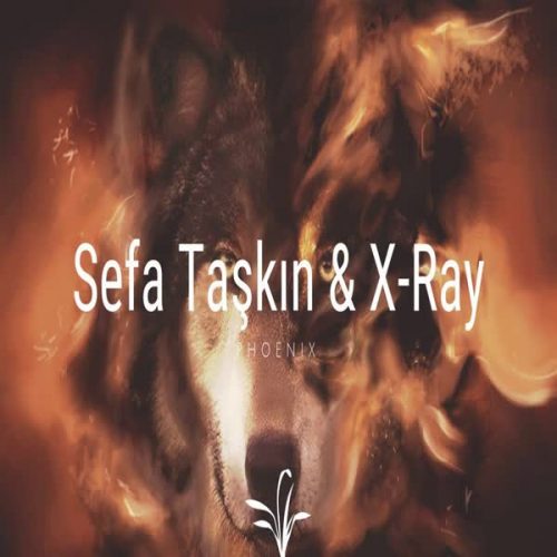 موزیک منتشر شده صفا تسکین بنام ققنوس دانلود آهنگ Phoenix از Sefa Taskin