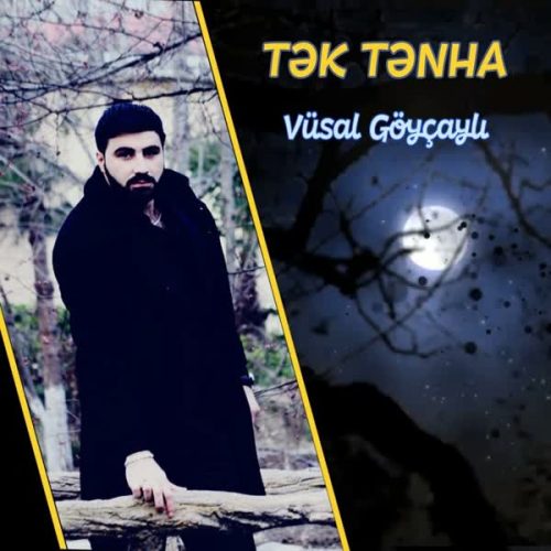 موزیک منتشر شده وصال گویکالی بنام تک و تنها دانلود آهنگ Tek Tenha از Vusal Goycayli