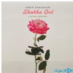دانلود آهنگ امیر فخاری به نام شاخه گل (ورژن گیتار)