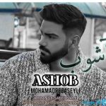 دانلود آهنگ محمدرضا سیلی به نام آشوب