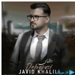 دانلود آهنگ جاوید خلیلی به نام دلواپسی