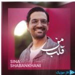 دانلود آهنگ سینا شعبانخانی به نام قلب من
