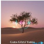 دانلود آهنگ علیرضا جوادی به نام گوزوم عاشقدی قارا گوزلرینه