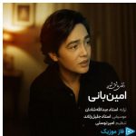 دانلود آهنگ امین بانی به نام وقتی عاشق شوی