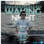 دانلود ریمیکس دیجی سلیم به نام واکینگ نایت ۱۲ (پادکست)