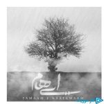 دانلود آهنگ ایهام به نام تمام ناتمام