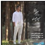 دانلود آهنگ حمید مجیدی به نام صبر