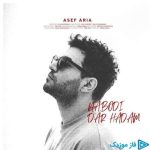 دانلود آهنگ آصف آریا به نام ورژن گیتار نبودی در حدم