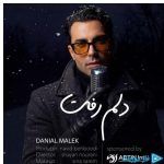 دانلود آهنگ دانیال ملک به نام دلم رفت