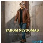 دانلود آهنگ محمد راستگو به نام یارم نیومد